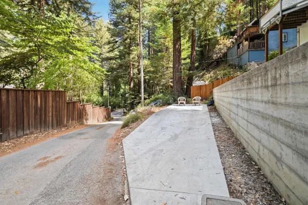 a view of a yard with plants and large trees