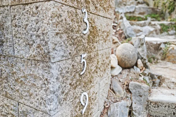 a view of a dry plant in a backyard