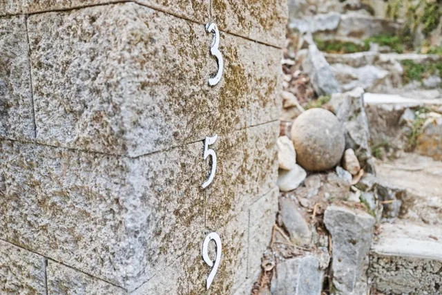 a view of a dry plant in a backyard