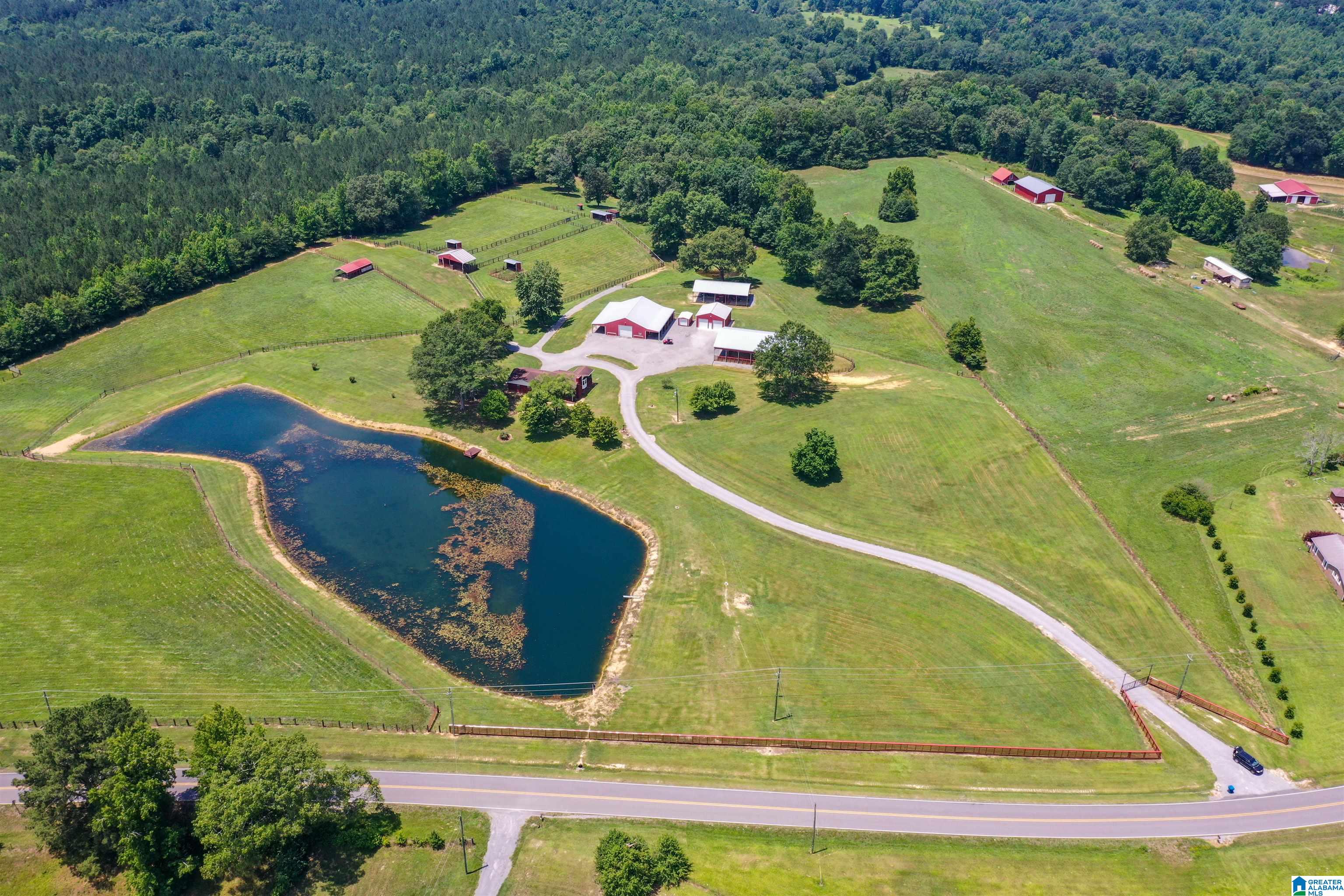 650 County Highway 13 Cleveland, AL 35049 - Photo 2 of 41