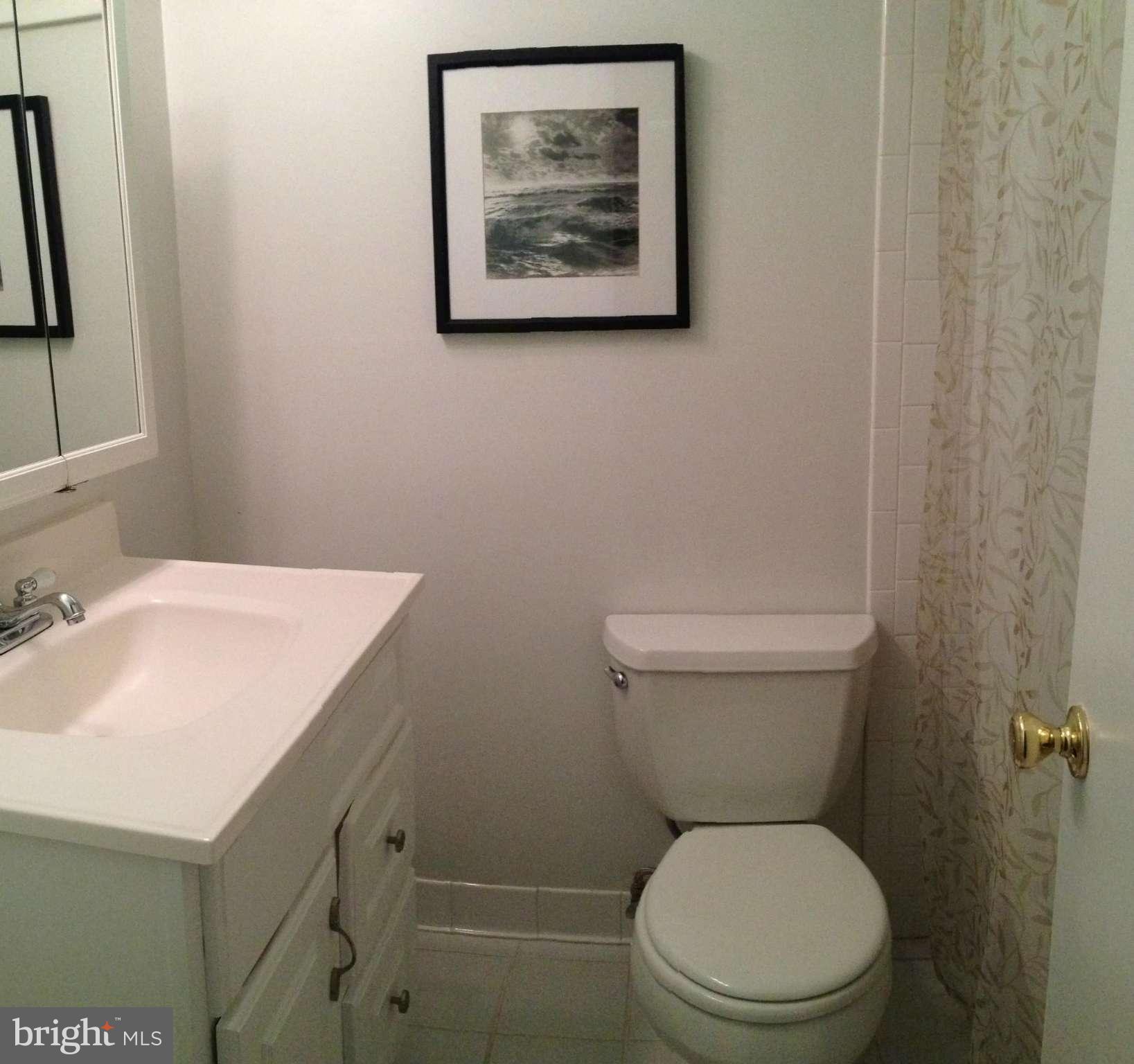 7125 Dryburgh Court Springfield, VA 22152 - Photo 19 of 30 Bath