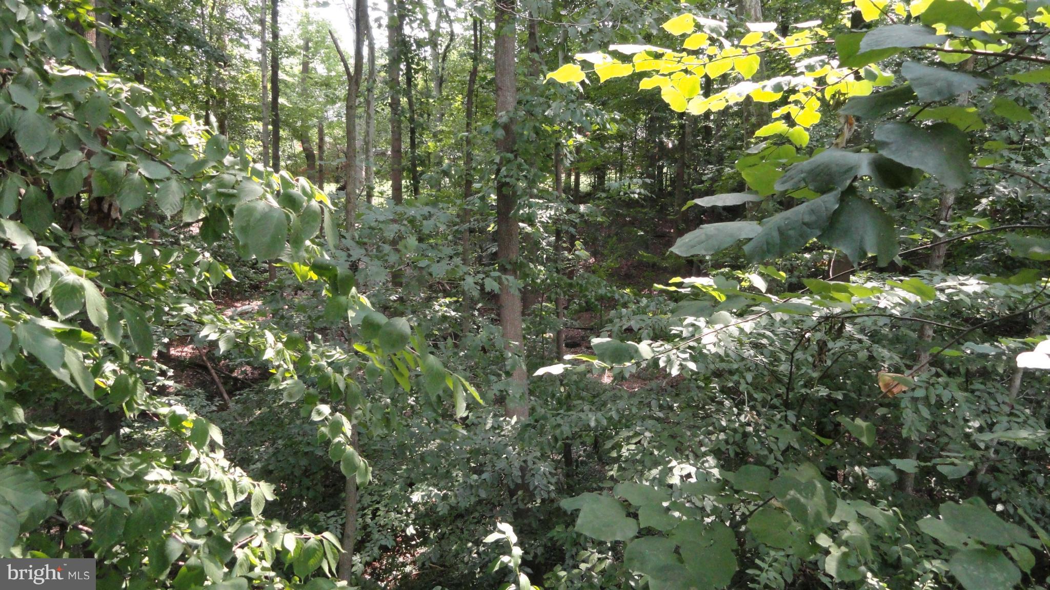 7125 Dryburgh Court Springfield, VA 22152 - Photo 27 of 30 View