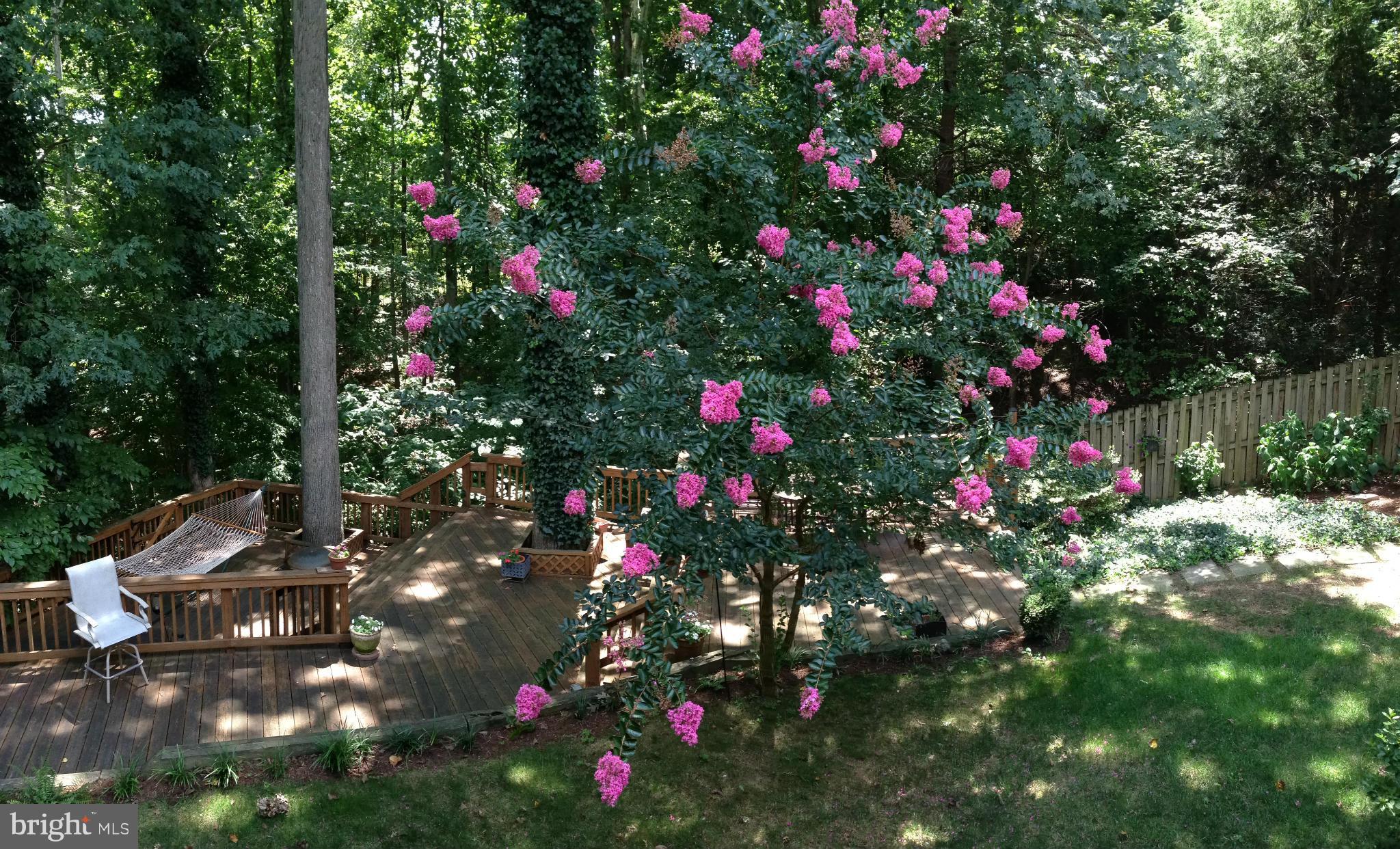 7125 Dryburgh Court Springfield, VA 22152 - Photo 28 of 30 View
