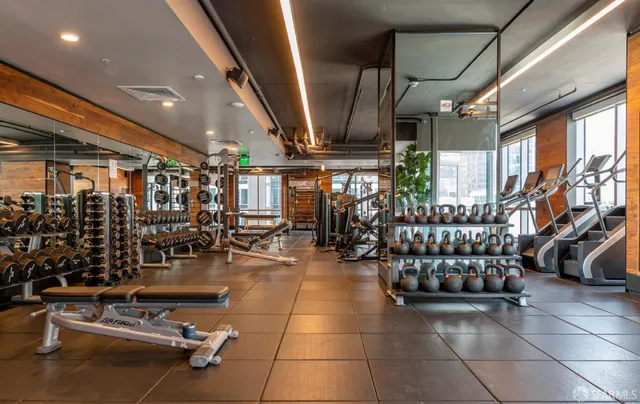 a outdoor space with the couches and a potted plant