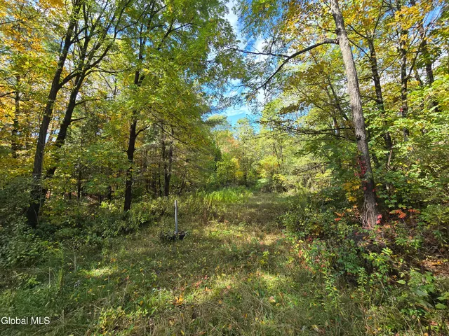 $124,999 | 355 Grange Road, Greenfield, NY 12833