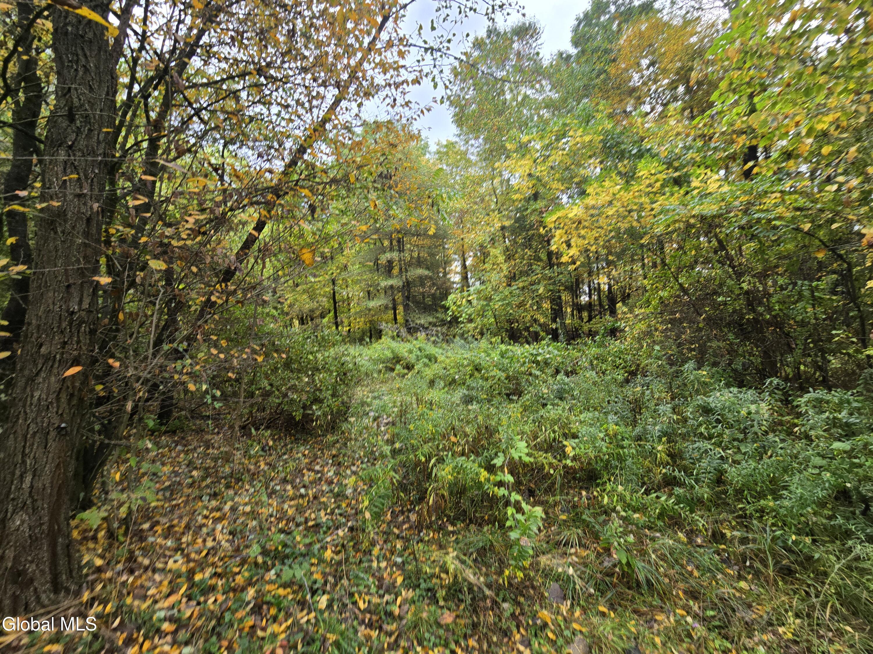 355 Grange Road Greenfield, NY 12833 - Photo 5 of 9 1000029583