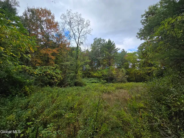 $124,999 | 355 Grange Road, Greenfield, NY 12833