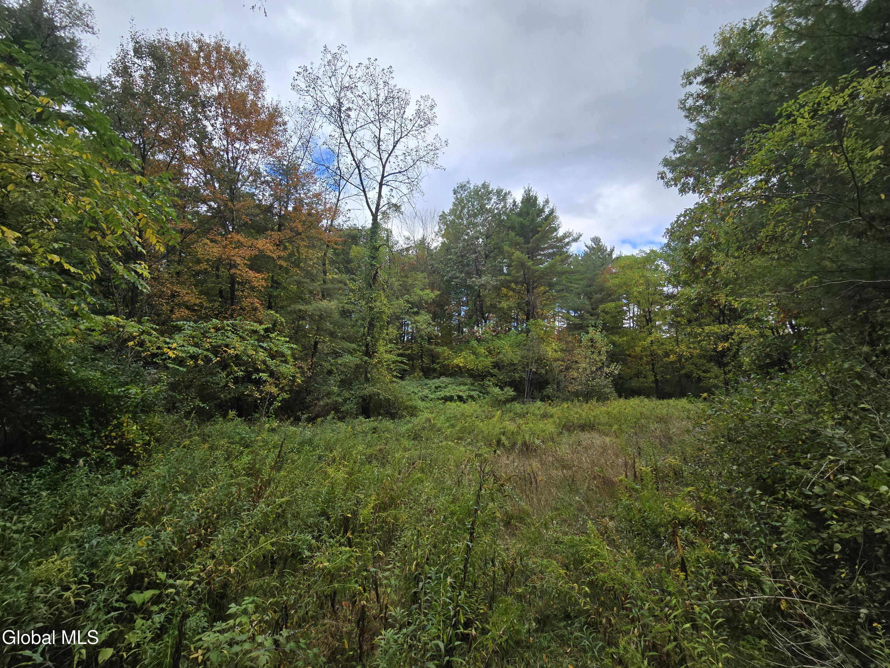 355 Grange Road Greenfield, NY 12833 - Photo 6 of 9 1000029582