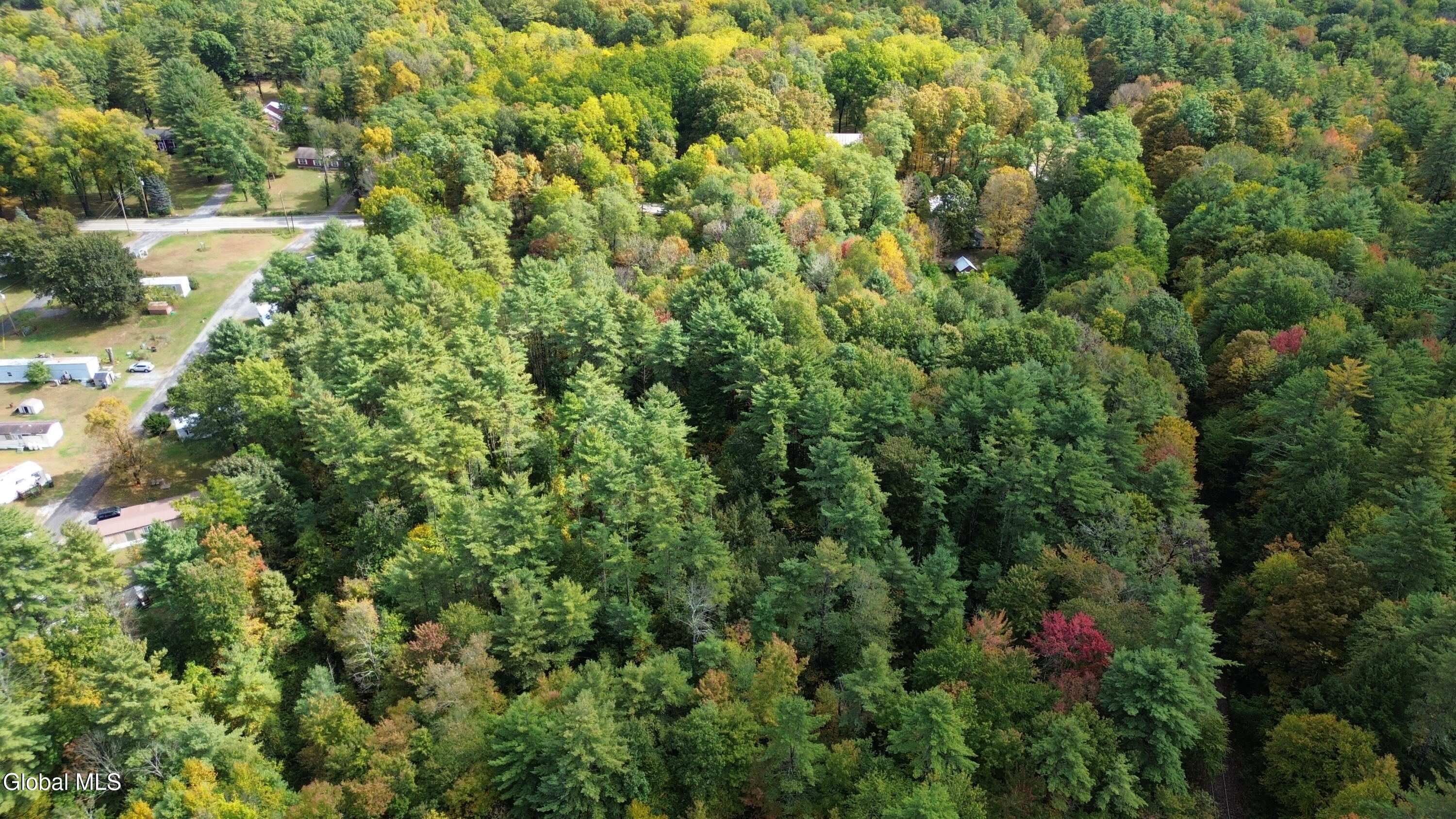 355 Grange Road Greenfield, NY 12833 - Photo 8 of 9 DJI_0297