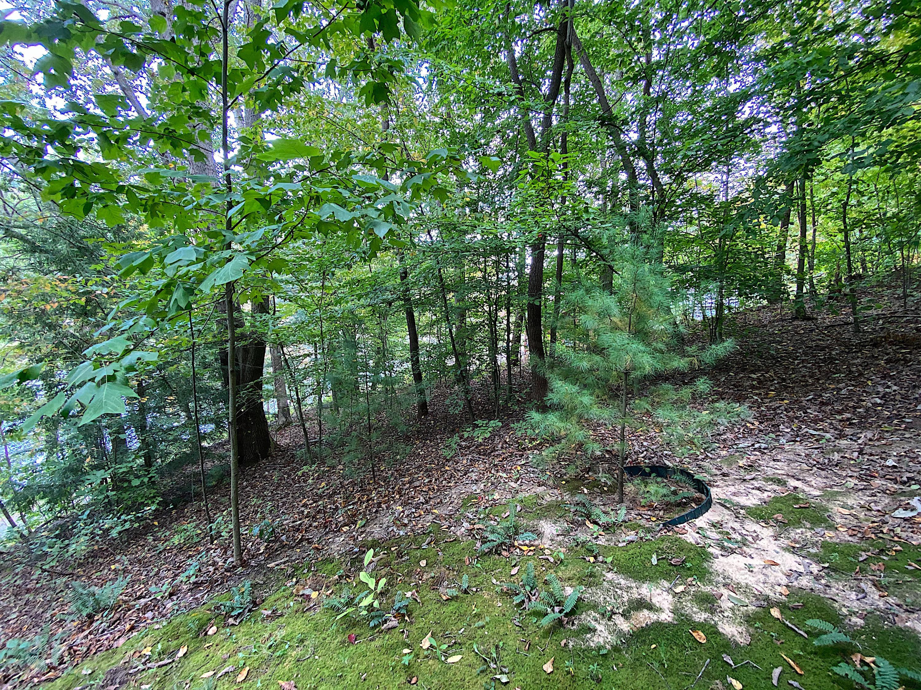 549 Ross Road Southeast Lancaster, OH 43130 - Photo 45 of 52