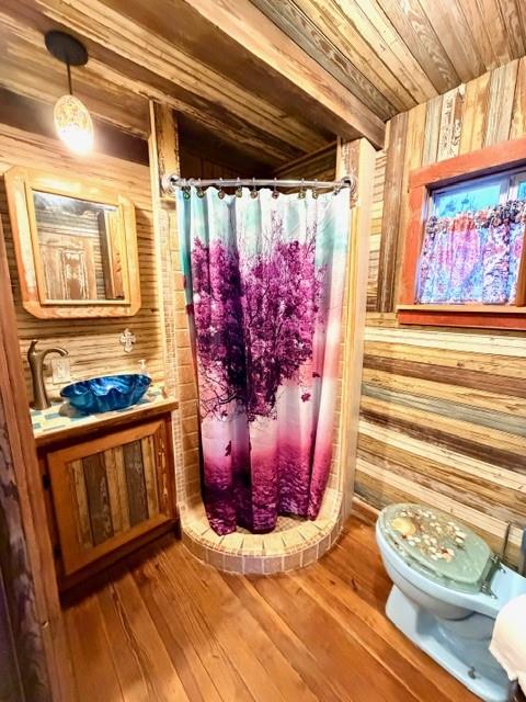 1608 School Street Goldthwaite, TX 76844 - Photo 12 of 25 a view of a bathroom with blue walls and toilet