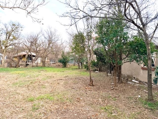 1608 School Street Goldthwaite, TX 76844 - Photo 25 of 25 a view of a tree in the middle of a yard