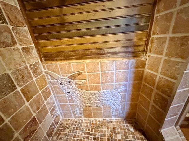 1608 School Street Goldthwaite, TX 76844 - Photo 10 of 25 a bathroom with a shower