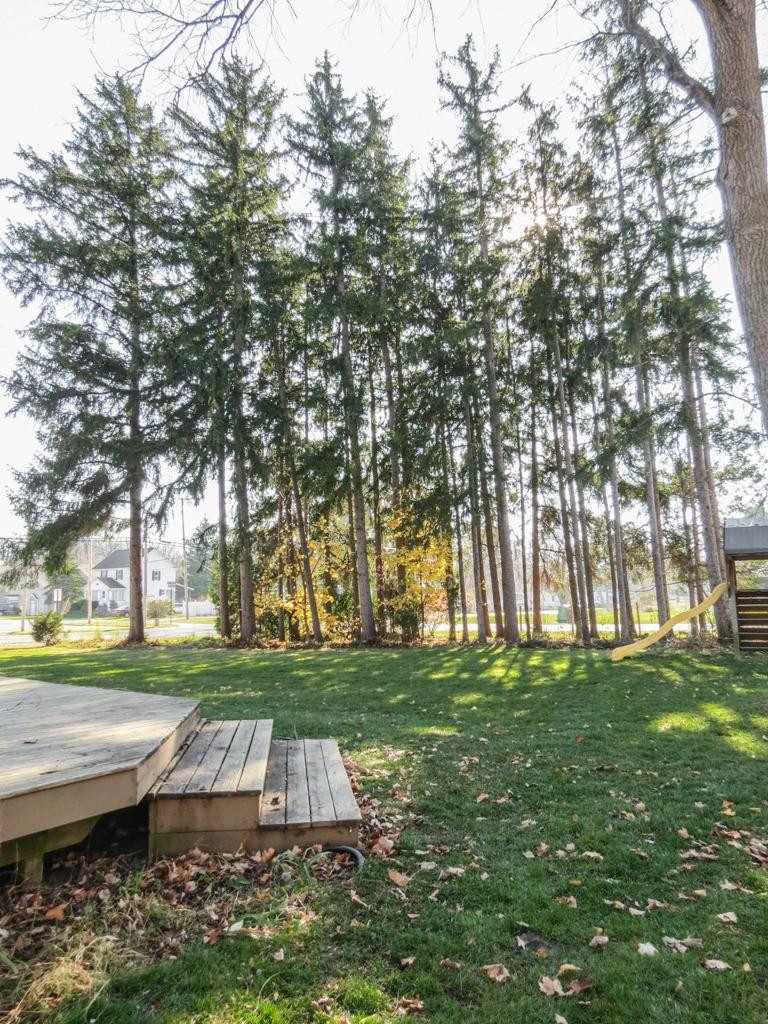 10980 Whittaker Road Milan, MI 48160 - Photo 7 of 48 Photo 7