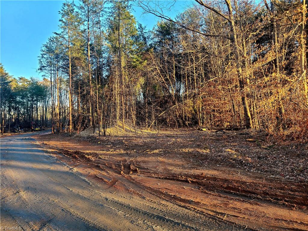3529 Edgefield Road Oak Ridge, NC 27310 - Photo 12 of 15