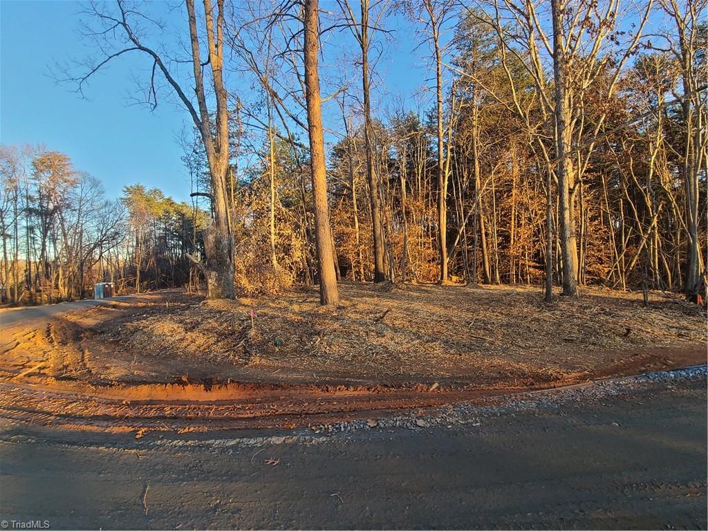 3529 Edgefield Road Oak Ridge, NC 27310 - Photo 13 of 15
