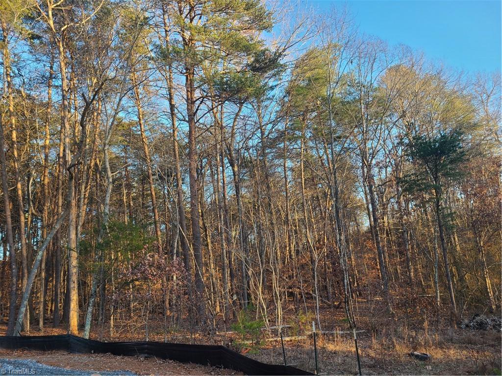 3529 Edgefield Road Oak Ridge, NC 27310 - Photo 3 of 15