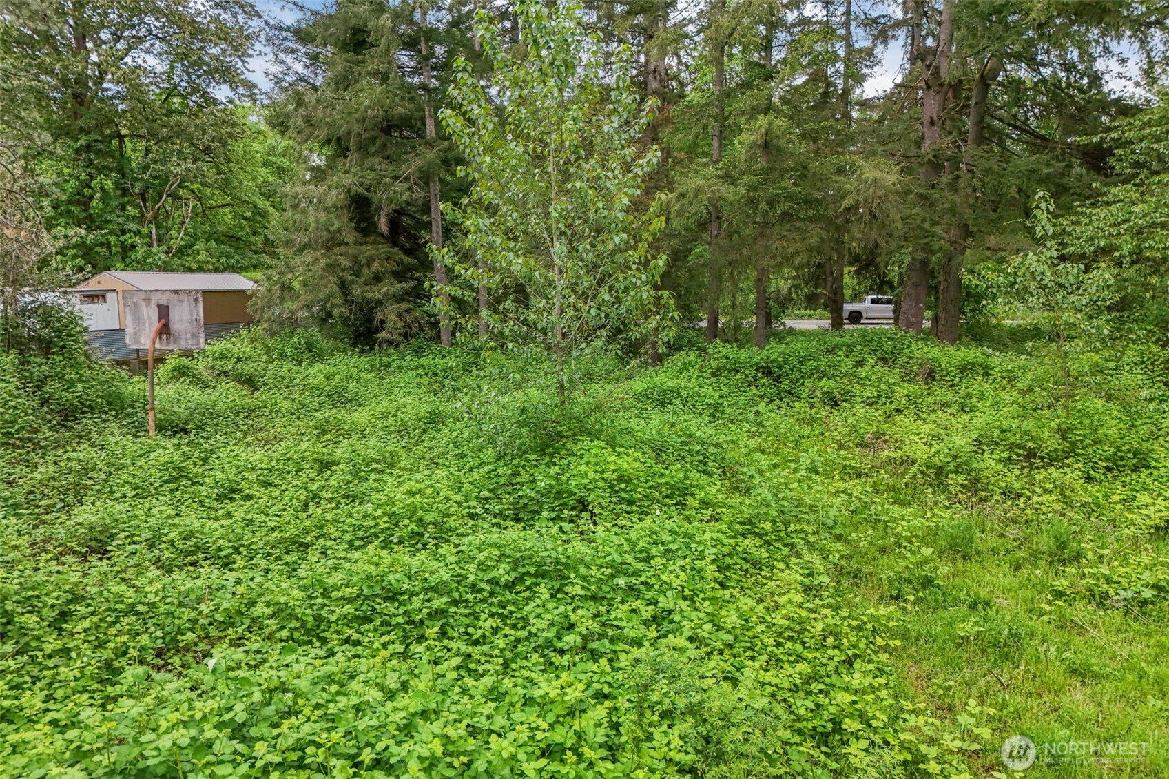 20707 Renton-Maple Valley Road Maple Valley, WA 98038 - Photo 16 of 18