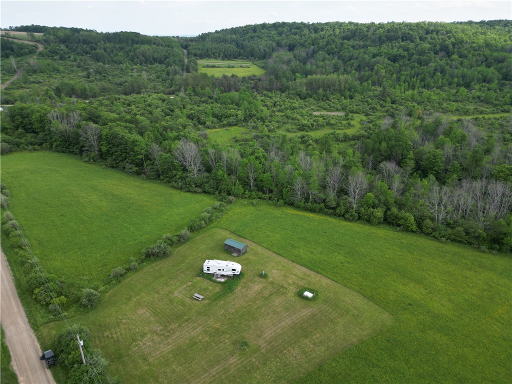Potter Road Greenwood, NY 14839 - Photo 19 of 23