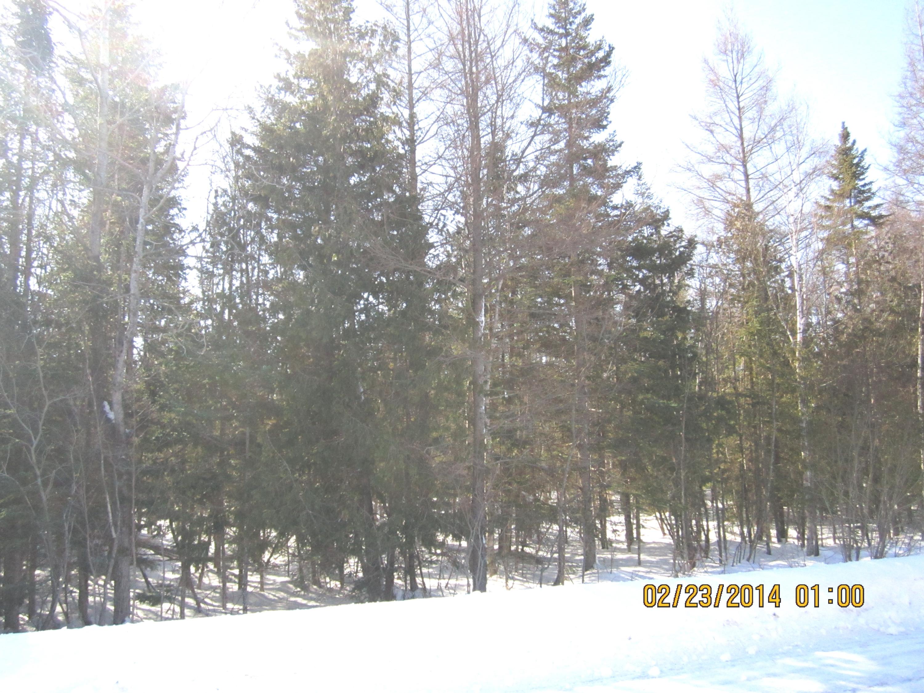 3041 Quarry Road Gulliver, MI 49840 - Photo 2 of 6 Gallery Image 2