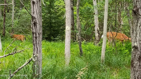 a view of outdoor space and garden