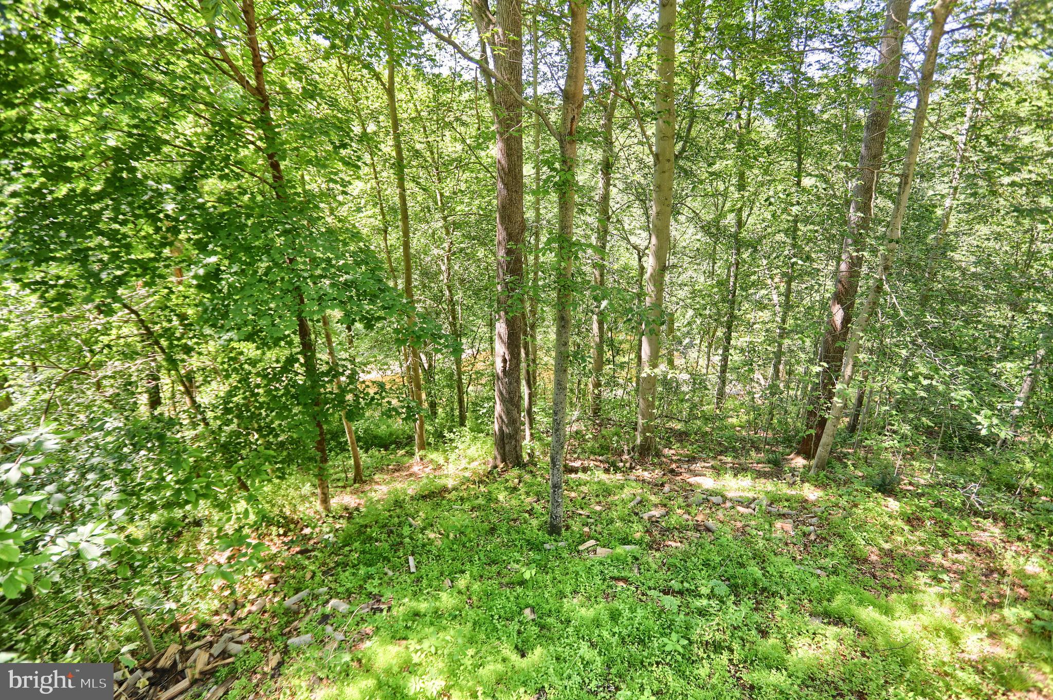 32 Codjus Drive Rising Sun, MD 21911 - Photo 45 of 49