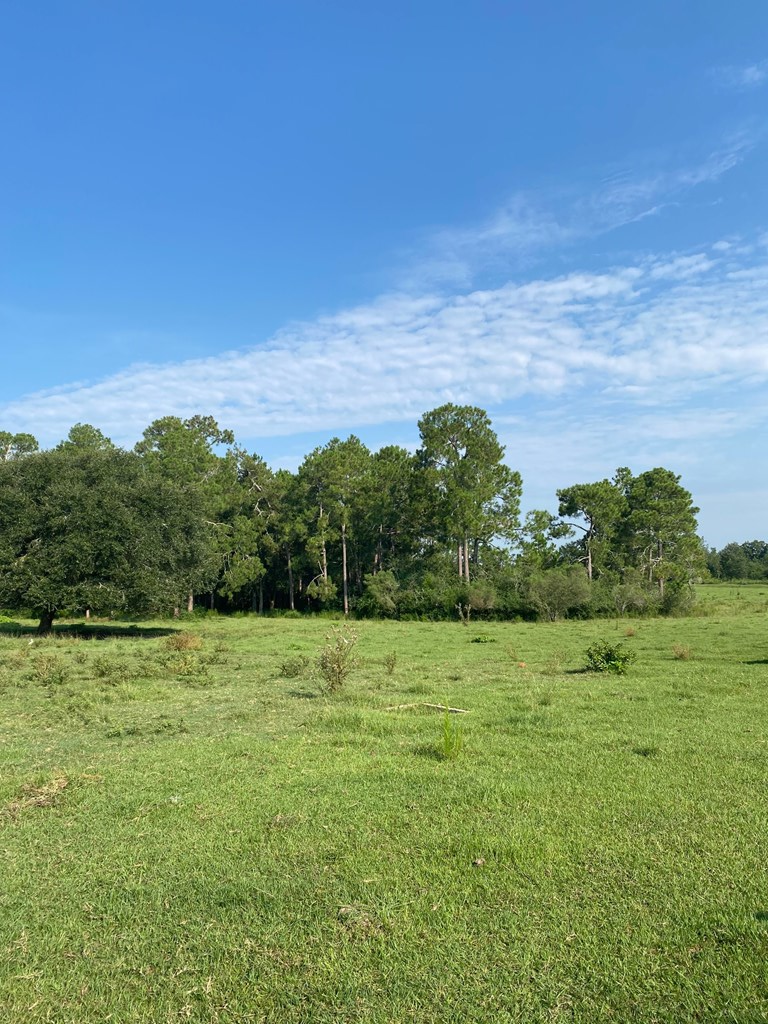 395 Hancock Road Doerun, GA 31744 - Photo 9 of 34 Gallery Image 9