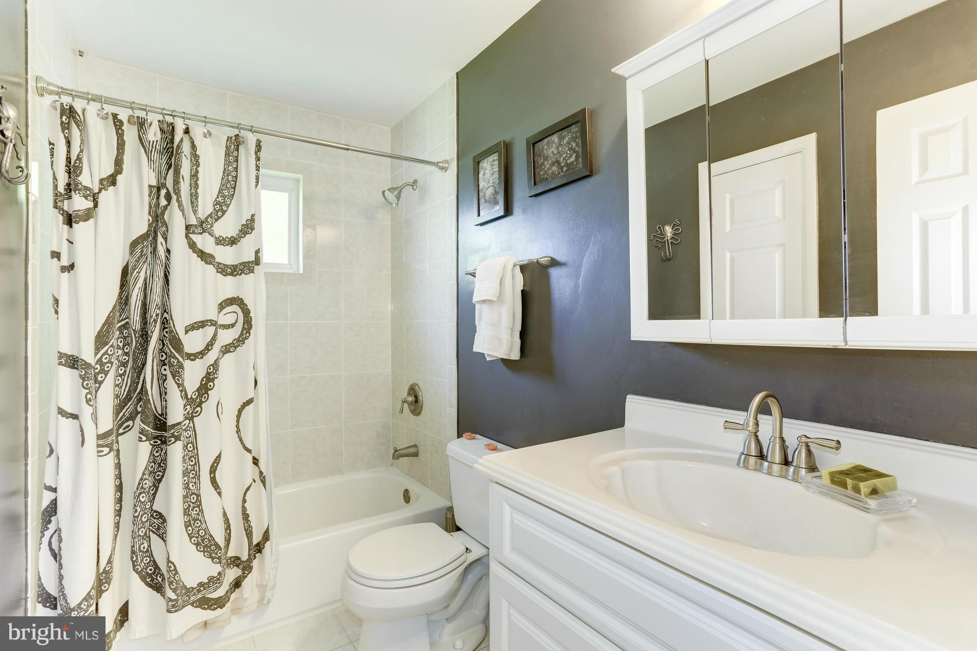 4018 Jeffry Street Silver Spring, MD 20906 - Photo 14 of 30 Bathroom on main level
