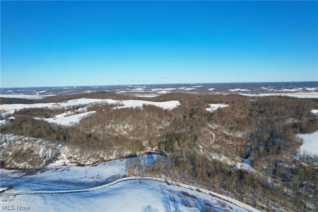 Fostor Road Dresden, OH 43821 - Photo 5 of 25 Drone / aerial view