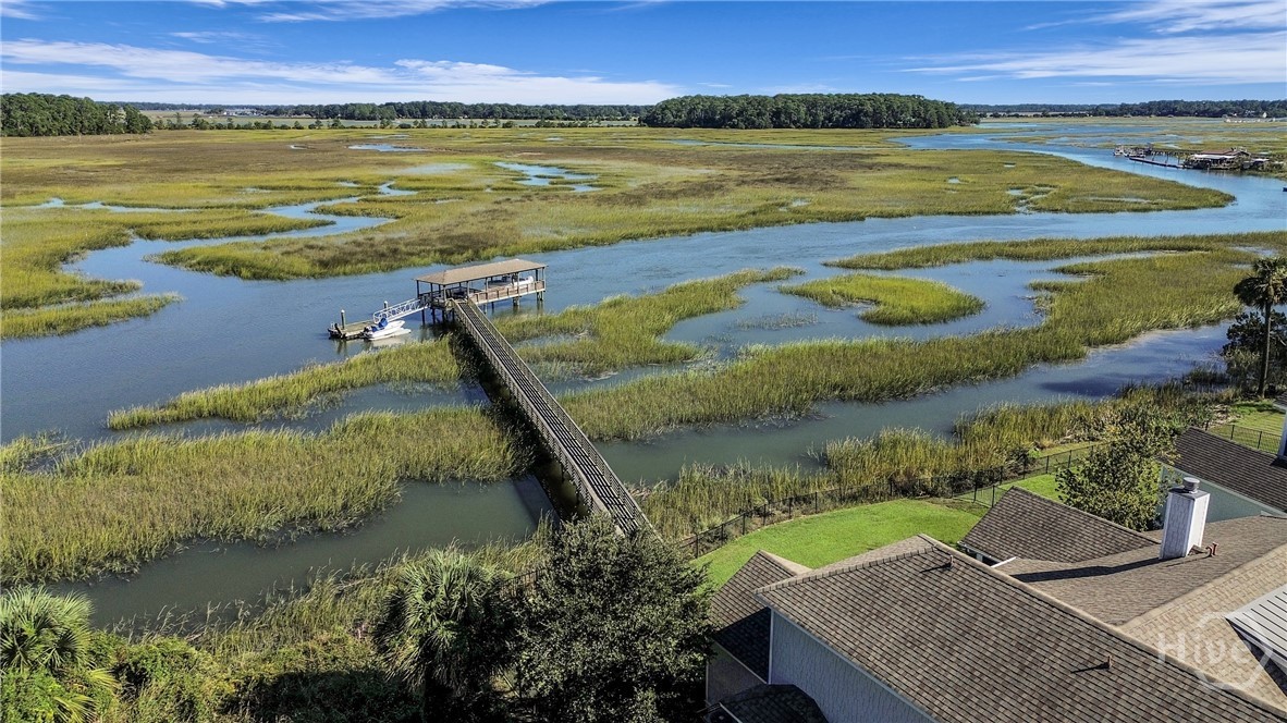 141 Bluffside Circle Savannah, GA 31406 - Photo 47 of 53