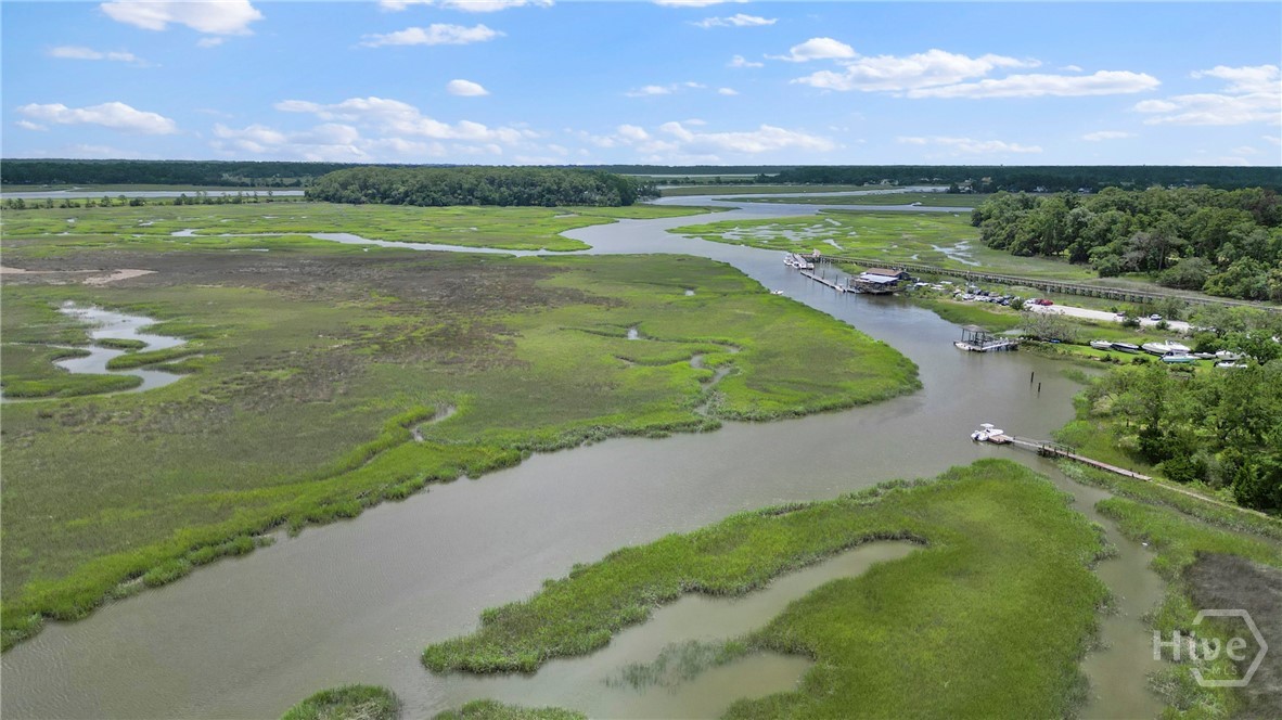 141 Bluffside Circle Savannah, GA 31406 - Photo 53 of 53 Country Club Creek