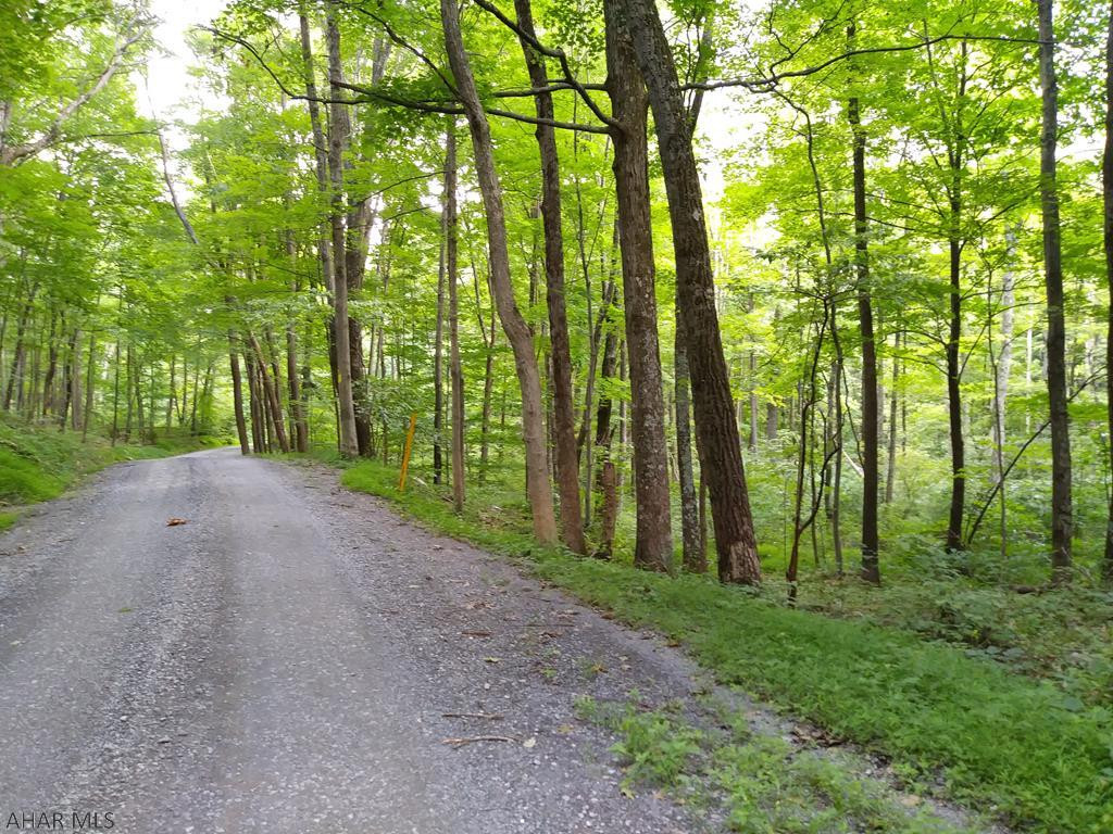X Blankley Road Bedford, PA 15522 - Photo 1 of 4 Gallery Image 1
