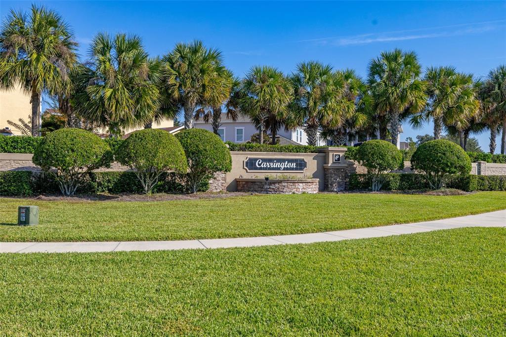 12333 Via Derna Place Windermere, FL 34786 - Photo 50 of 56 a view of a park