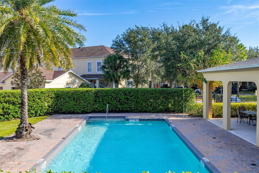 12333 Via Derna Place Windermere, FL 34786 - Photo 52 of 56 a view of a backyard with couches plants and large tree
