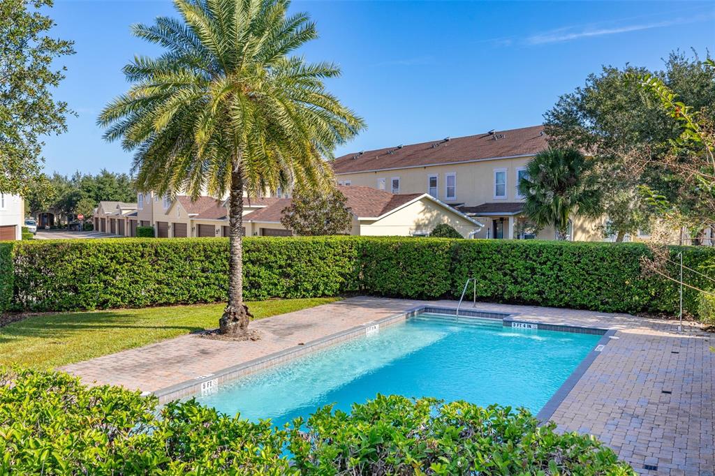 12333 Via Derna Place Windermere, FL 34786 - Photo 53 of 56 a view of a backyard with palm trees