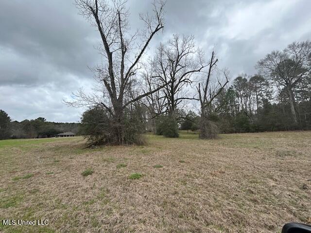 West Freedom Drive Liberty, MS 39645 - Photo 11 of 12 IMG_3197