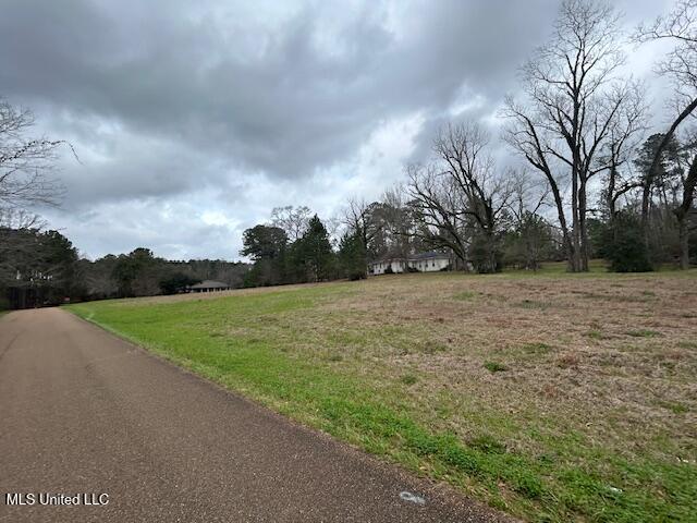 West Freedom Drive Liberty, MS 39645 - Photo 12 of 12 IMG_3198