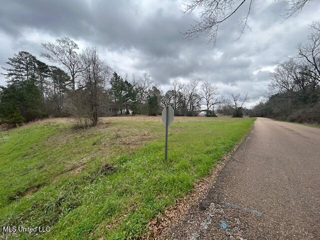 West Freedom Drive Liberty, MS 39645 - Photo 2 of 12 IMG_3188