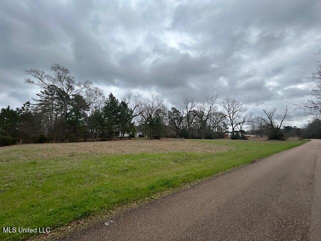 West Freedom Drive Liberty, MS 39645 - Photo 5 of 12 IMG_3191