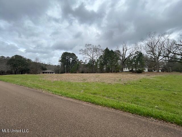 West Freedom Drive Liberty, MS 39645 - Photo 6 of 12 IMG_3192
