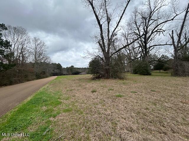 West Freedom Drive Liberty, MS 39645 - Photo 10 of 12 IMG_3196