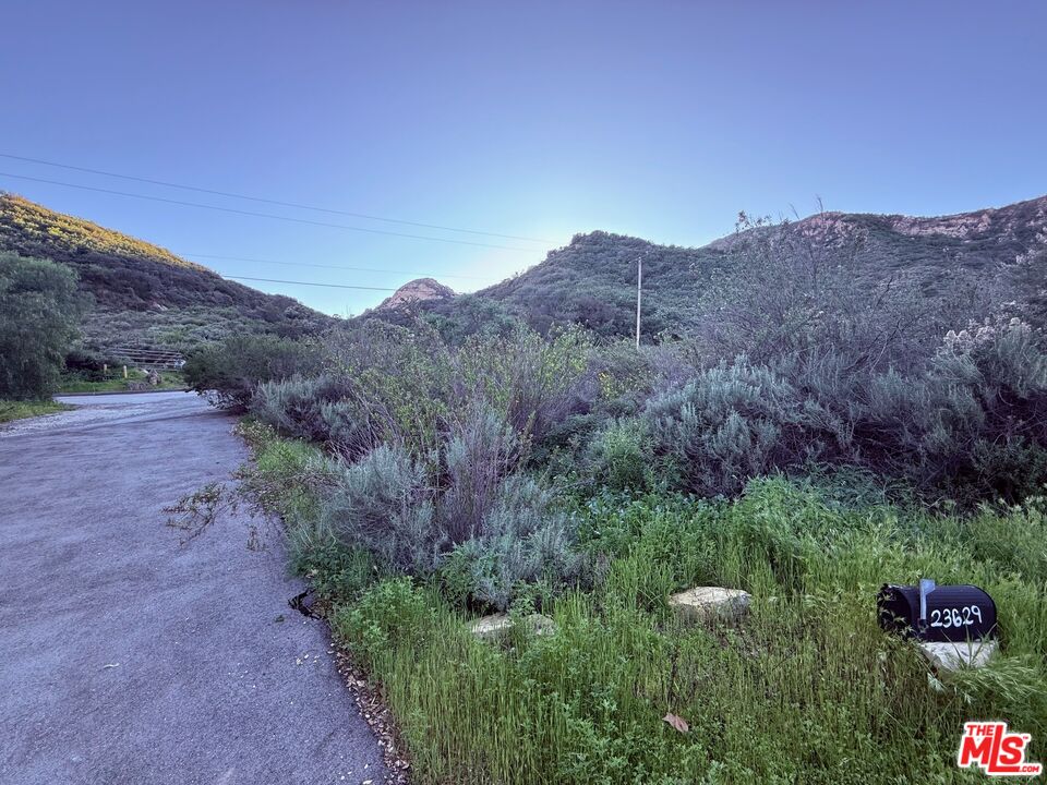 23629 Zuniga Road Topanga, CA 90290 - Photo 10 of 21