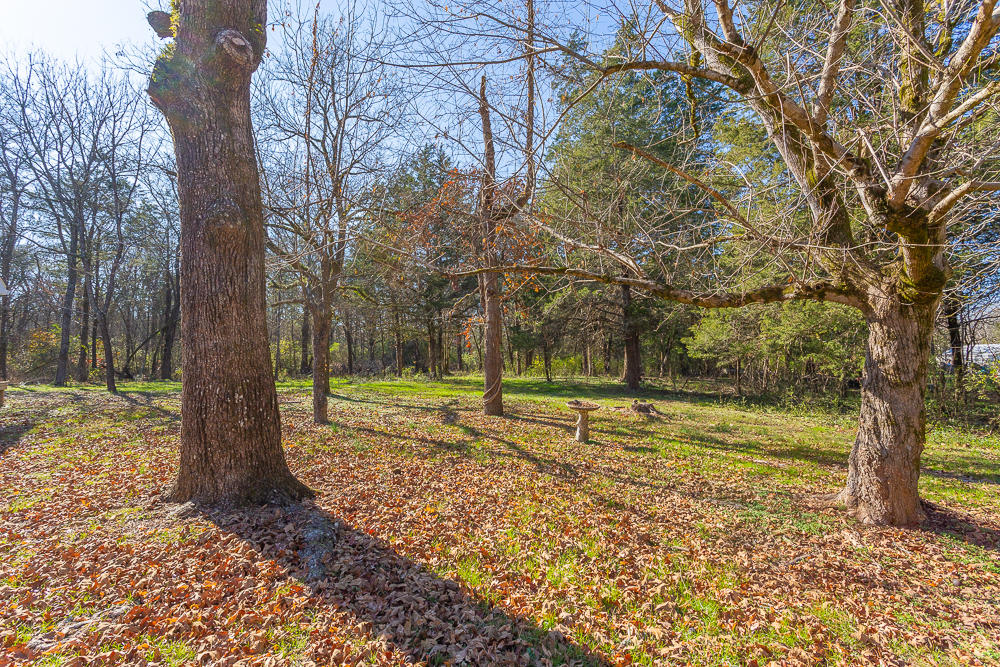 2083 Glass Mill Road Chickamauga, GA 30707 - Photo 32 of 44 2083 Glass Mill HD -8