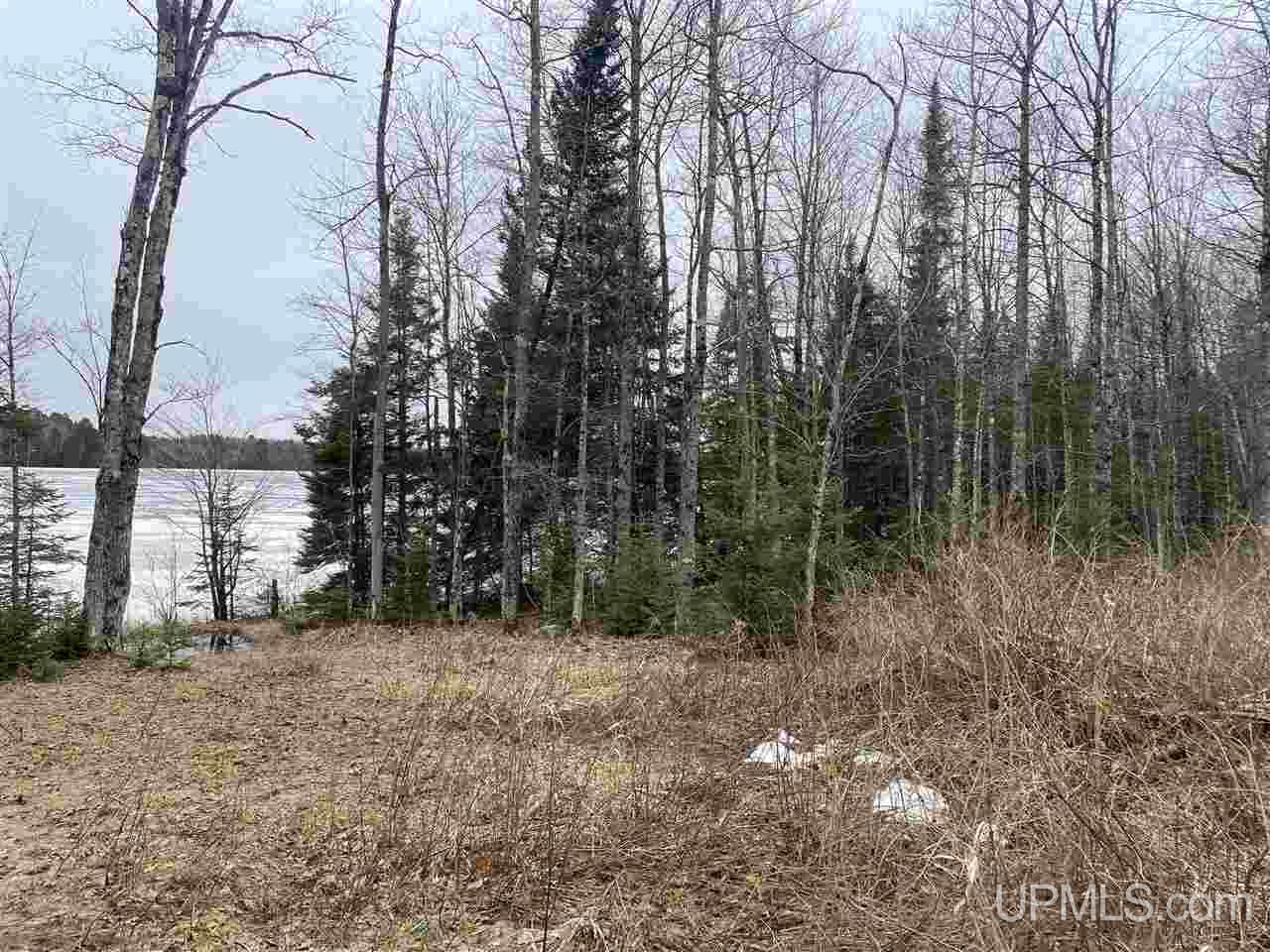 Tbd West Tamarack Lake Road, Unit 17 Iron River, MI 49935 - Photo 18 of 45