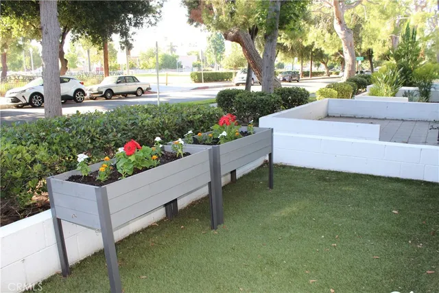 a view of a garden with flowers and trees