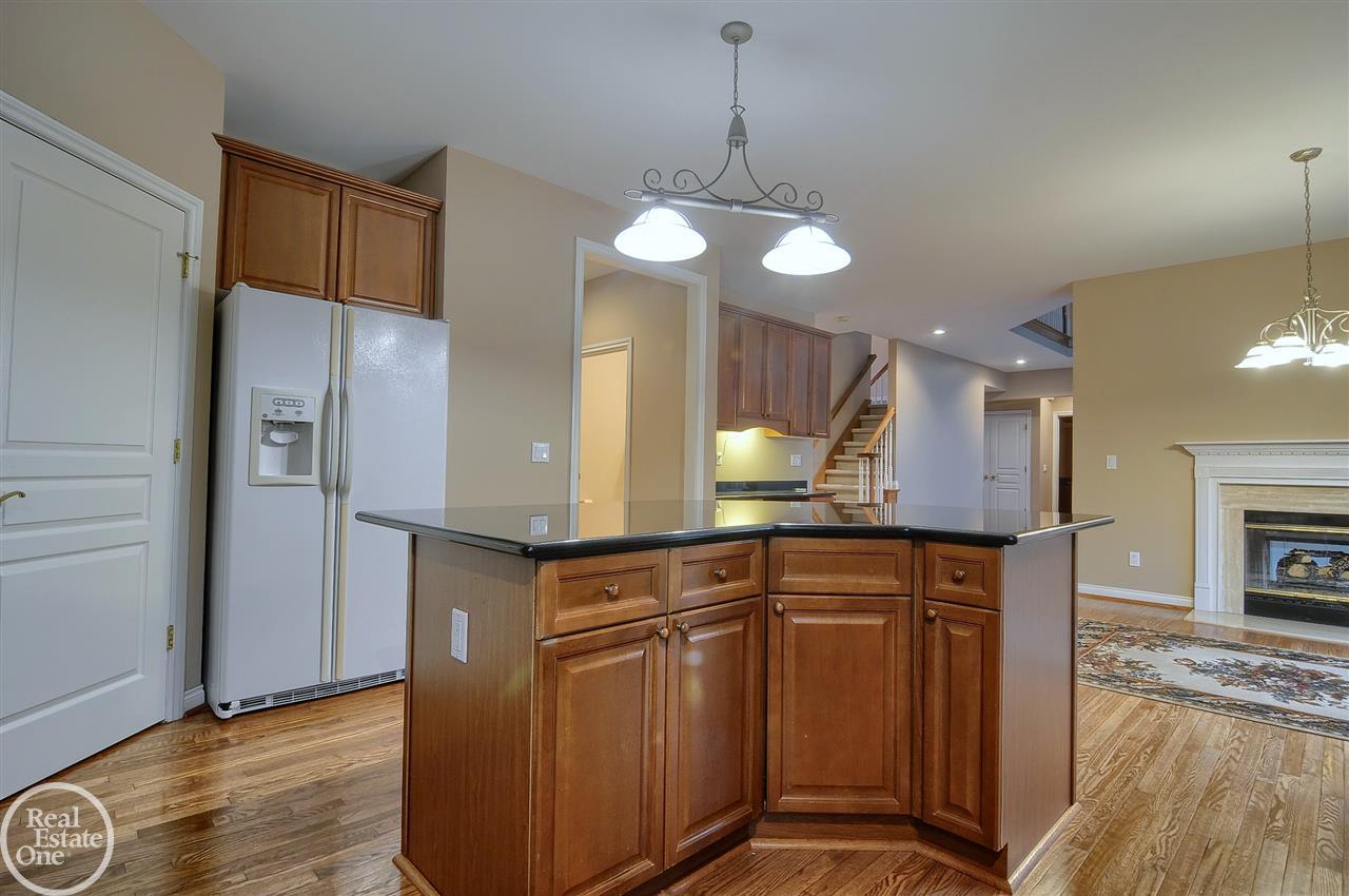 538 Springview Drive Rochester, MI 48307 - Photo 21 of 58 50031002-20.JPG