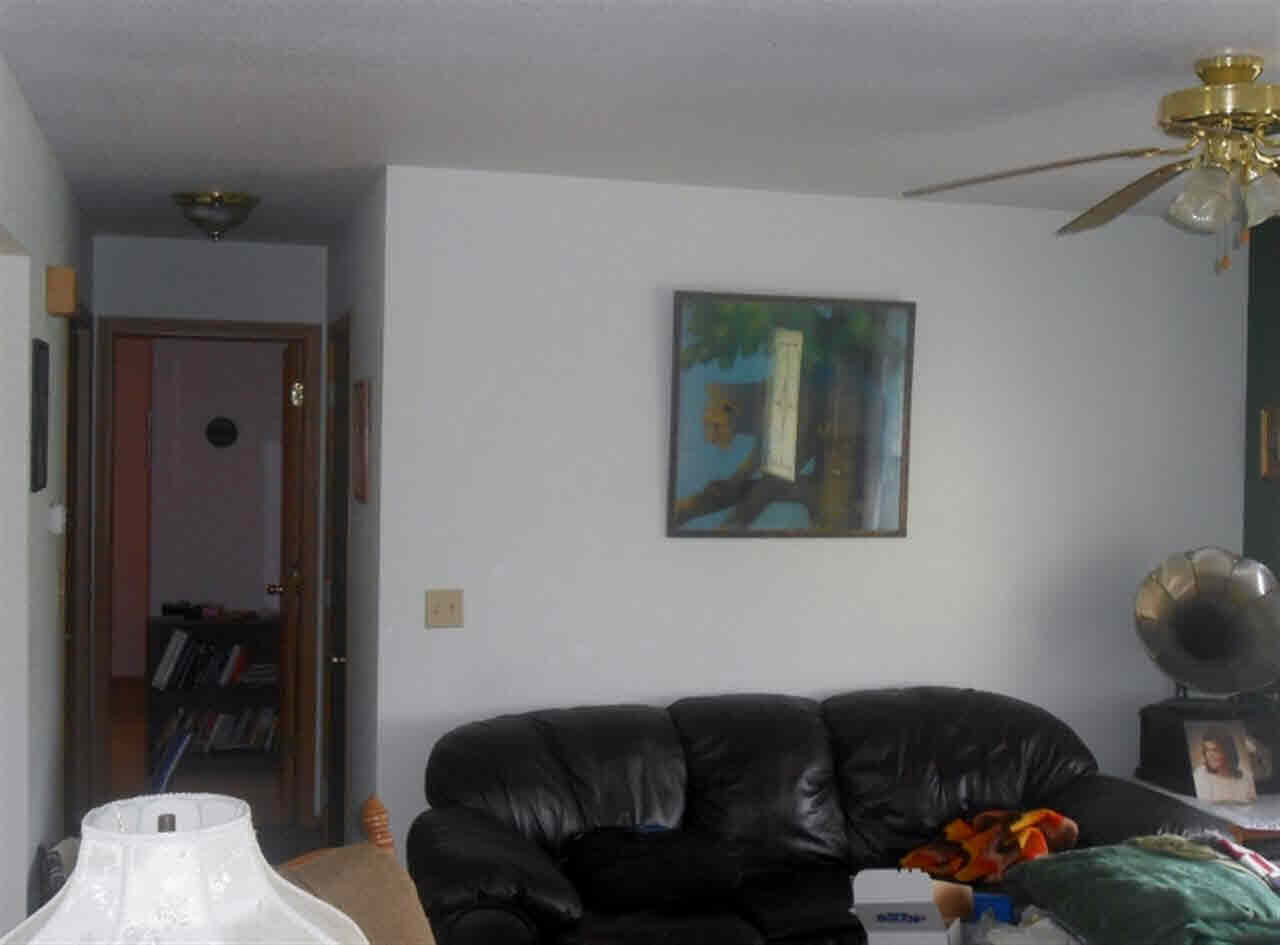 529 West Liberty Street Butler, IN 46721 - Photo 11 of 29