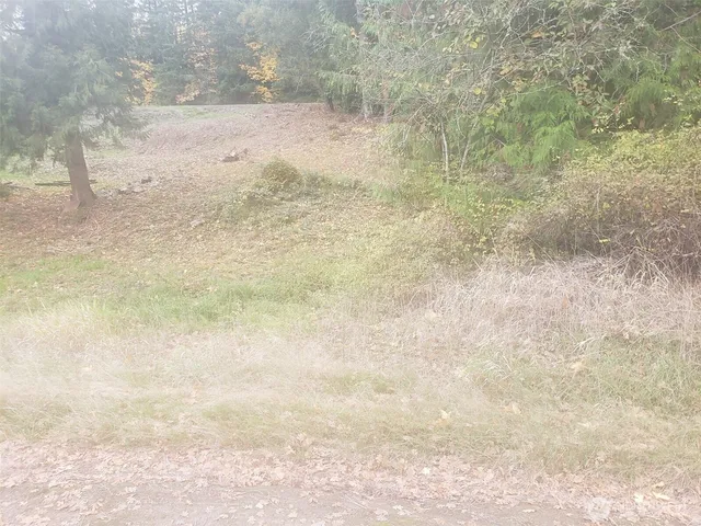 a view of a backyard of the house