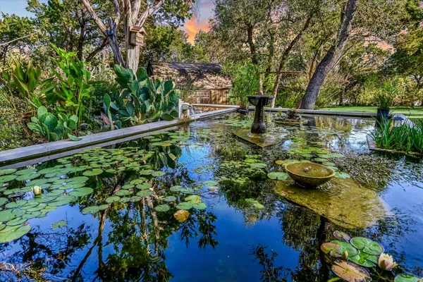 front view of a garden with lots of trees
