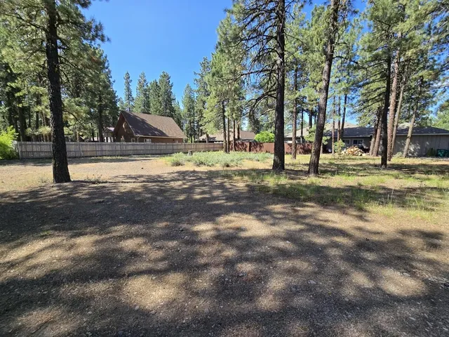 a view of a trees with a yard
